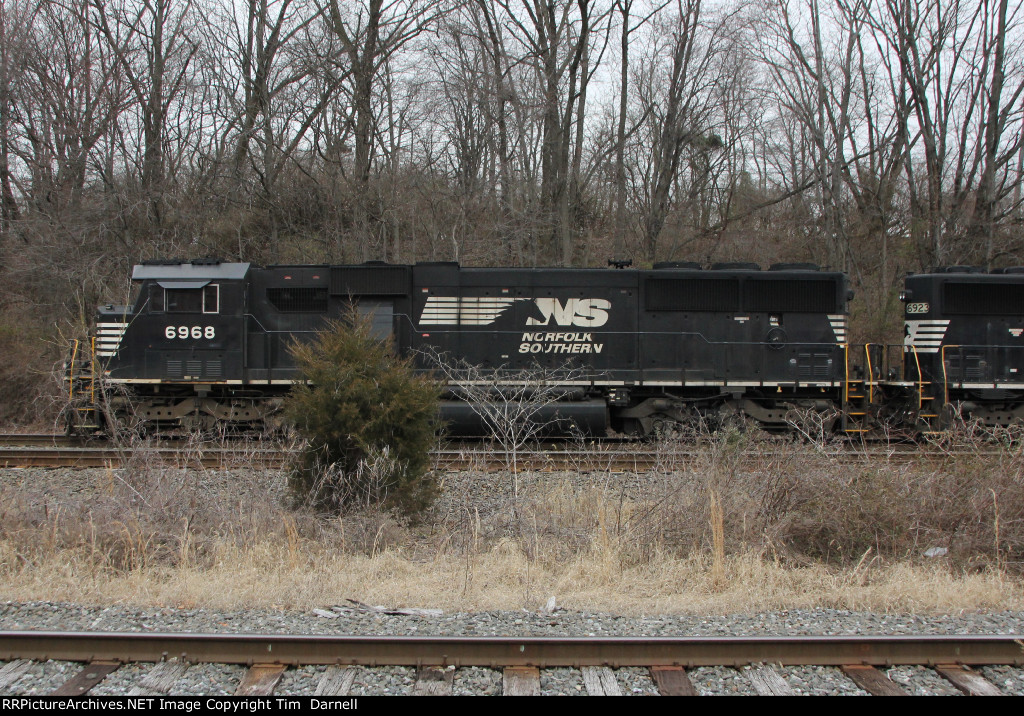 NS 6968 leading K40